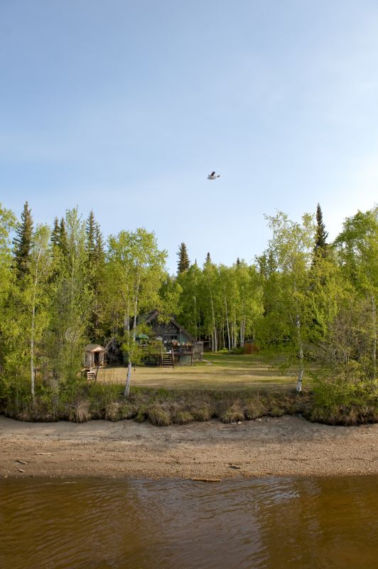 Property Line Clearing in Houston, TX
